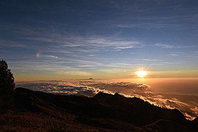 京东言犀大模型正式揭晓 AI开发计算平台预计8月上线